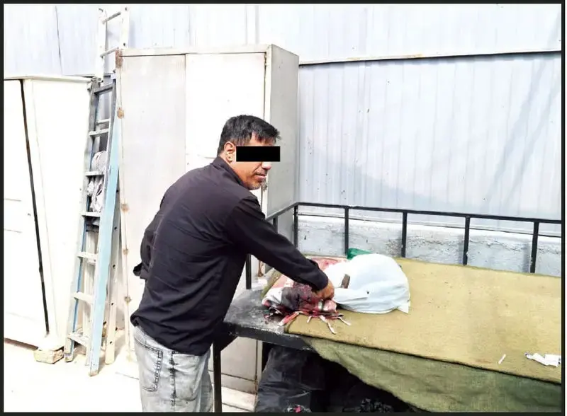 جنایت هولناک در باغ‌تالار مشهد