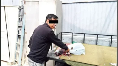 جنایت هولناک در باغ‌تالار مشهد