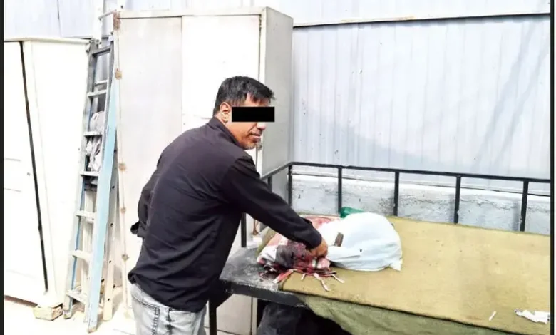 جنایت هولناک در باغ‌تالار مشهد